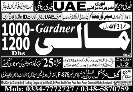 Jobs 2025 in UAE