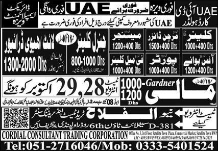 Heavy Driver & Merchandiser Jobs 2025